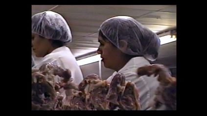 mississippi chicken 1.jpg